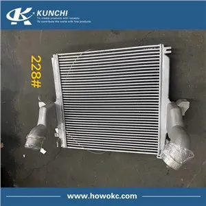 FOTON AUMAN H4119302003A0 Intercooler